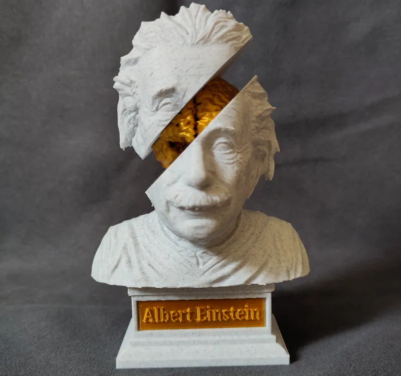 Insights into a Genius: Albert Einstein