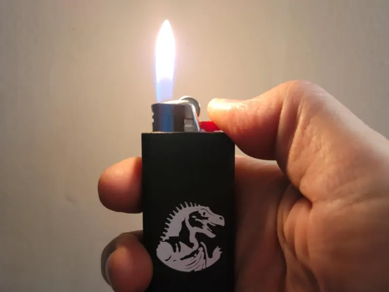 Confucisaurus Lighter Case