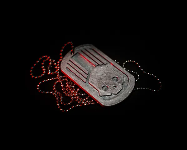 https://makerworld.bblmw.com/makerworld/model/USc39bc06ab6f587/design/2024-02-28_e45a1eed5e11f.jpeg