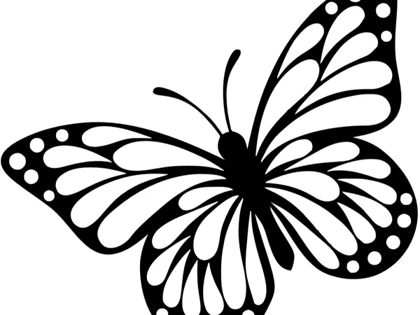 Papillon décoratif
