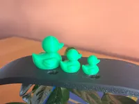 canard 15mm
