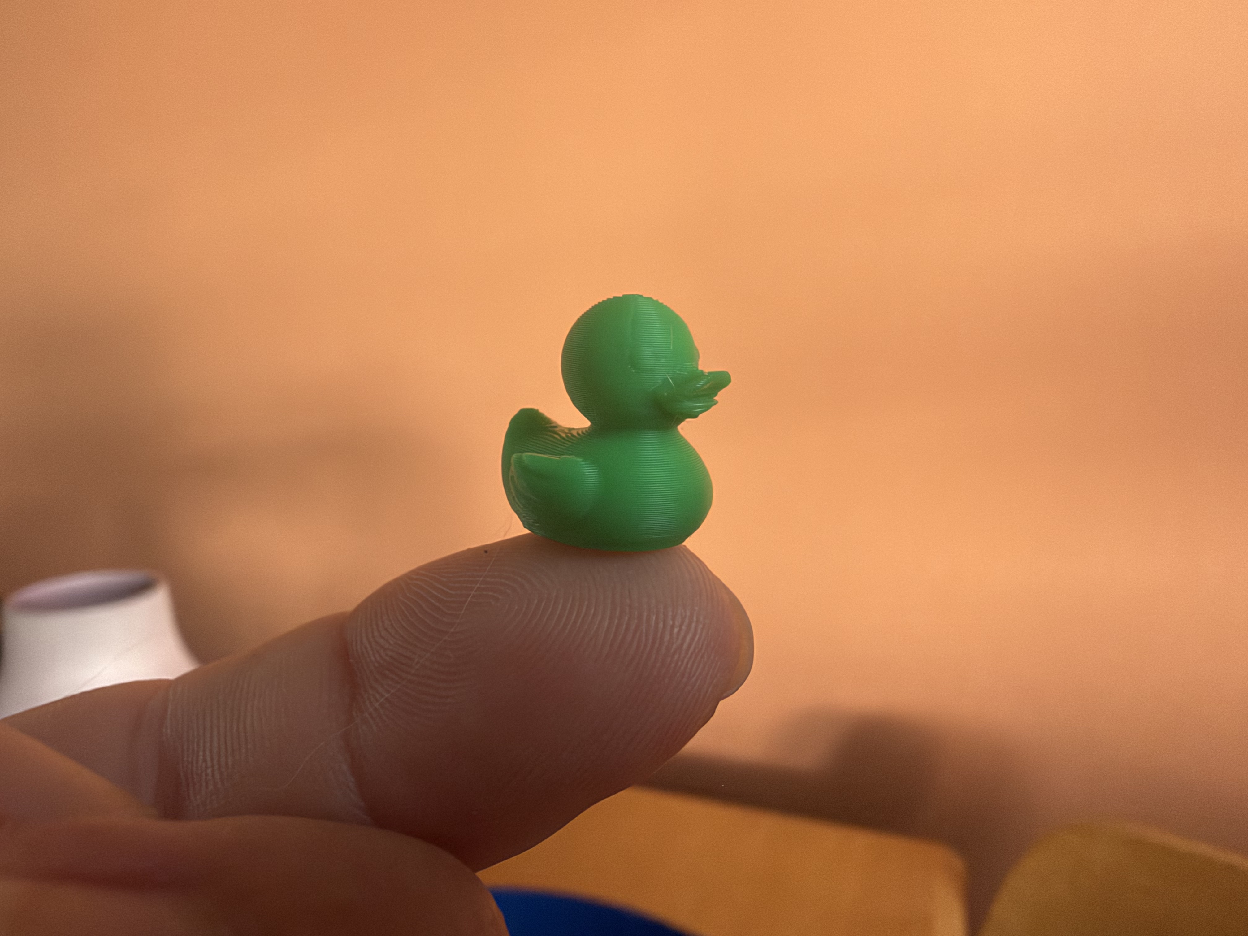Miniatura 2 do modelo 3D micro canard 