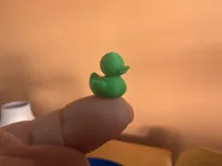 canard 9mm