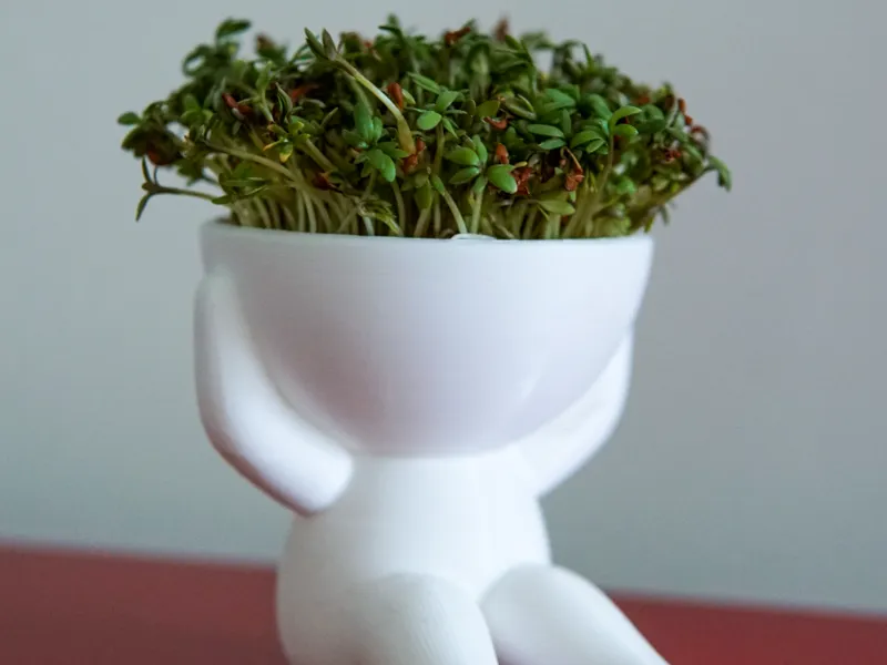 flower pot man
