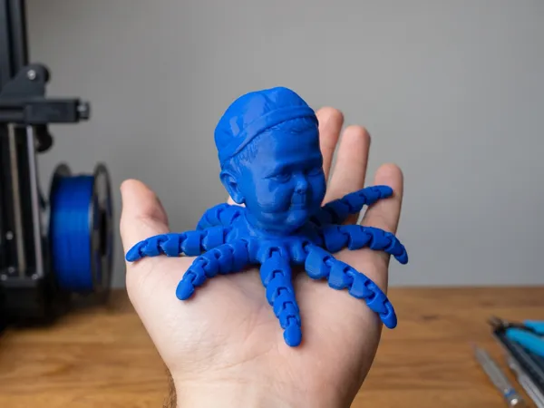 https://makerworld.bblmw.com/makerworld/model/USc3aa43c4589396/design/423a8ceb41a13d46.jpg