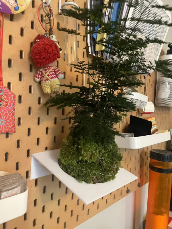 https://makerworld.bblmw.com/makerworld/model/USc3aa8d7d6b55c4/design/2024-10-26_a87c682959f29.jpg