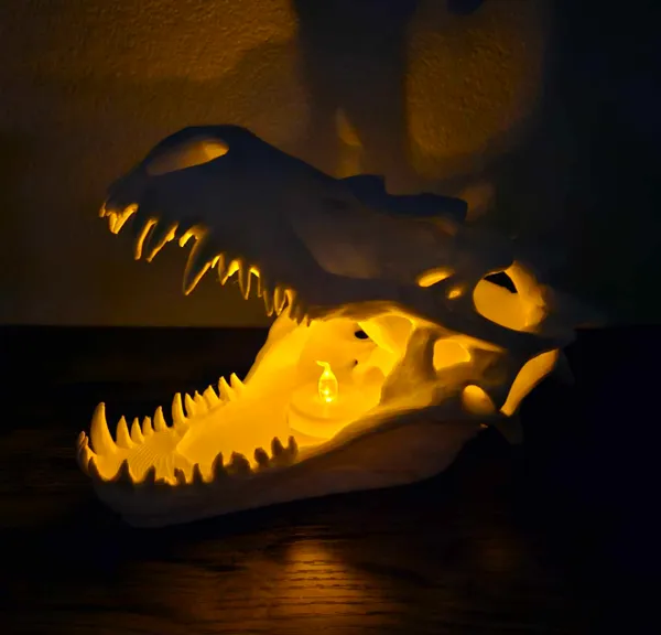 https://makerworld.bblmw.com/makerworld/model/USc3b4439f589bb7/design/2024-09-19_c2f2b3bd8cd6e.jpg