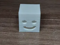 0.2mm layer, 2 walls, 8% infill