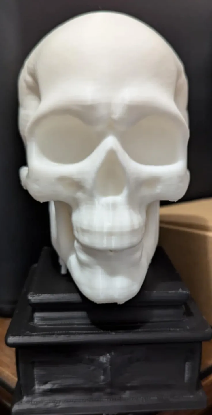 Skull on base