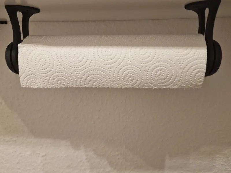 Elegant Paper Towel Holder- no Supports