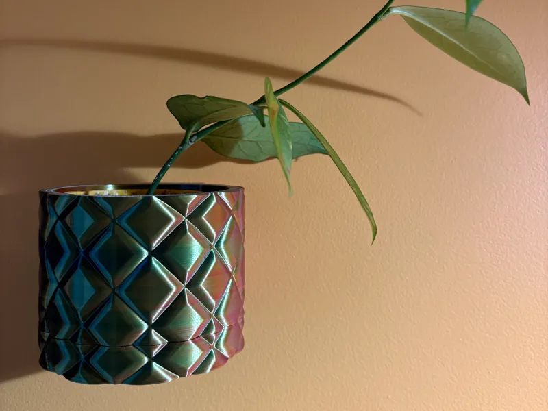 Modern Wall Hanging planter with driptray