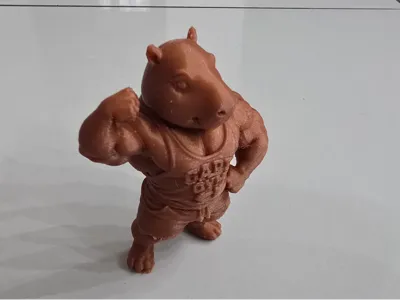 Capybara Gym / Bodybuilder Capybara