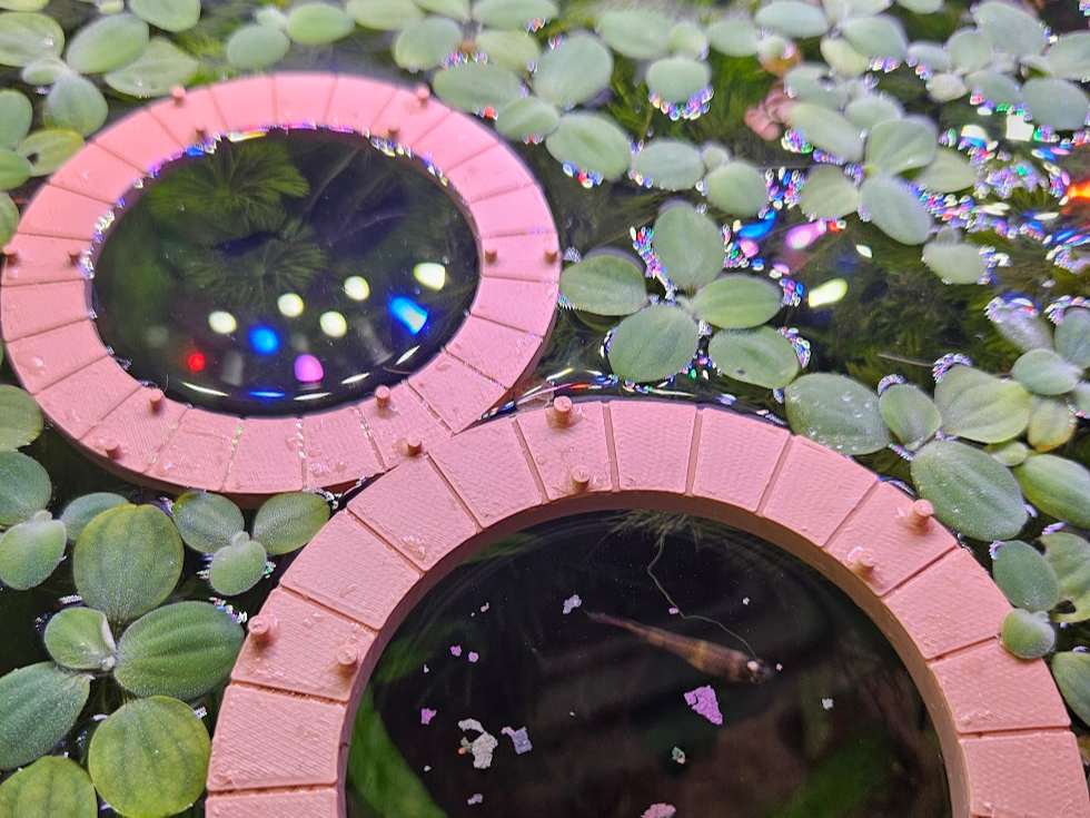 Stylized Floater Ring Pier