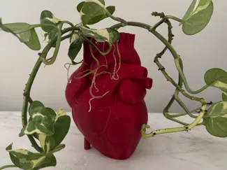 Vaso Cuore