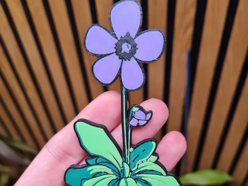 Pinguicula "Tina" (Butterwort), Magnet / Badge