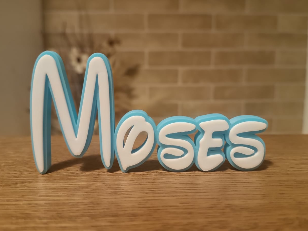Moses Name Disney Tag