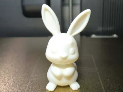 Cute rabbit