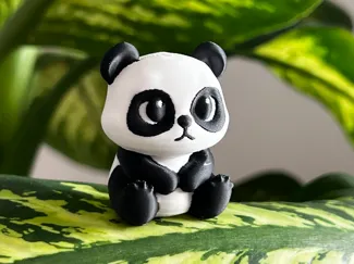 Cute Patient Panda
