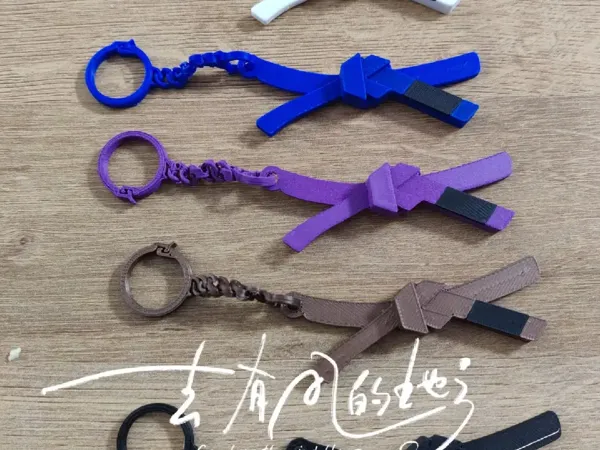 https://makerworld.bblmw.com/makerworld/model/USc3eaa22358cf3e/design/58fbba886ae7a7a2.png