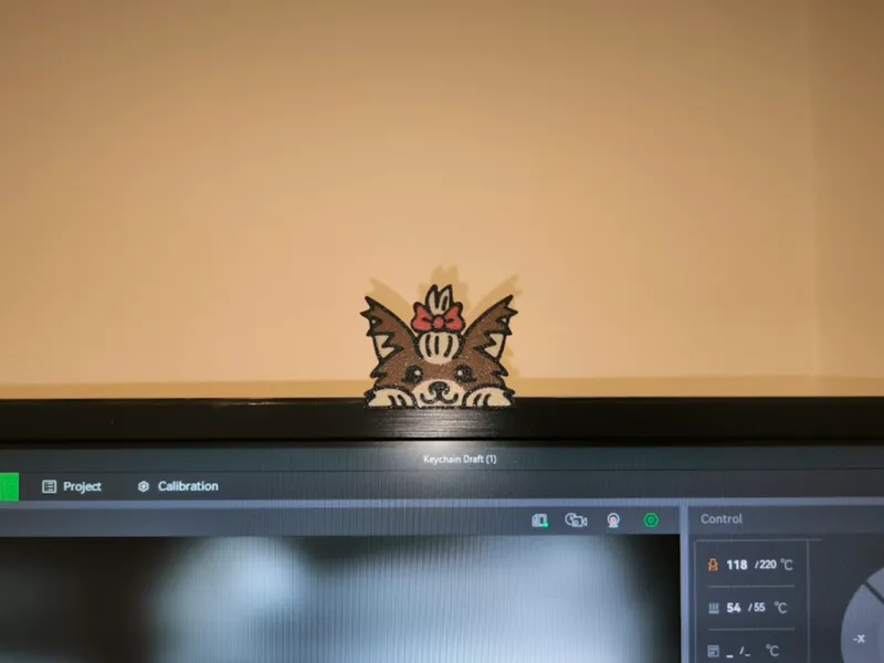 Monitor peekaboo cute dog