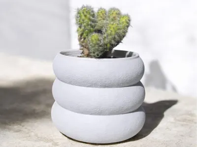 3-Phase Wavy Cactus Pot