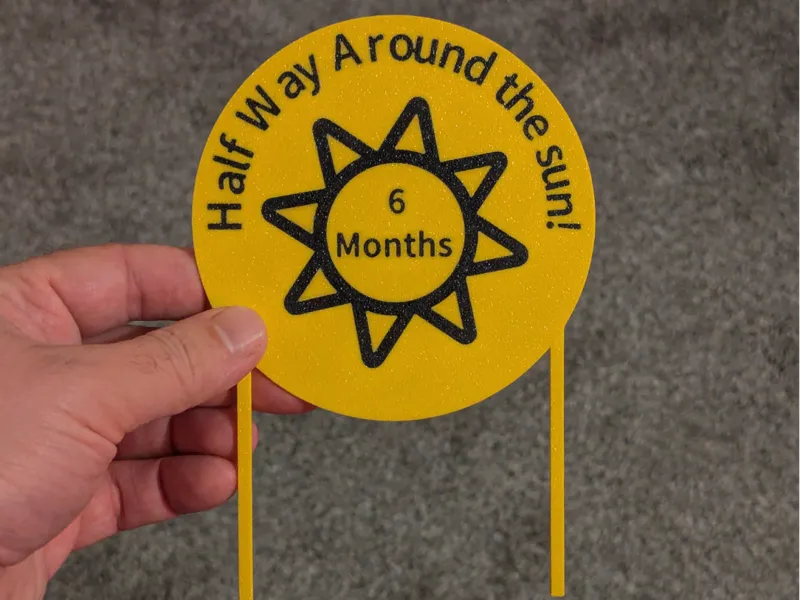 Half Way Around the Sun Cake Topper (6 months)