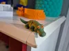 0.16mm layer, 2 walls, 15% infill