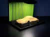 0.16mm layer, 2 walls, 7% infill