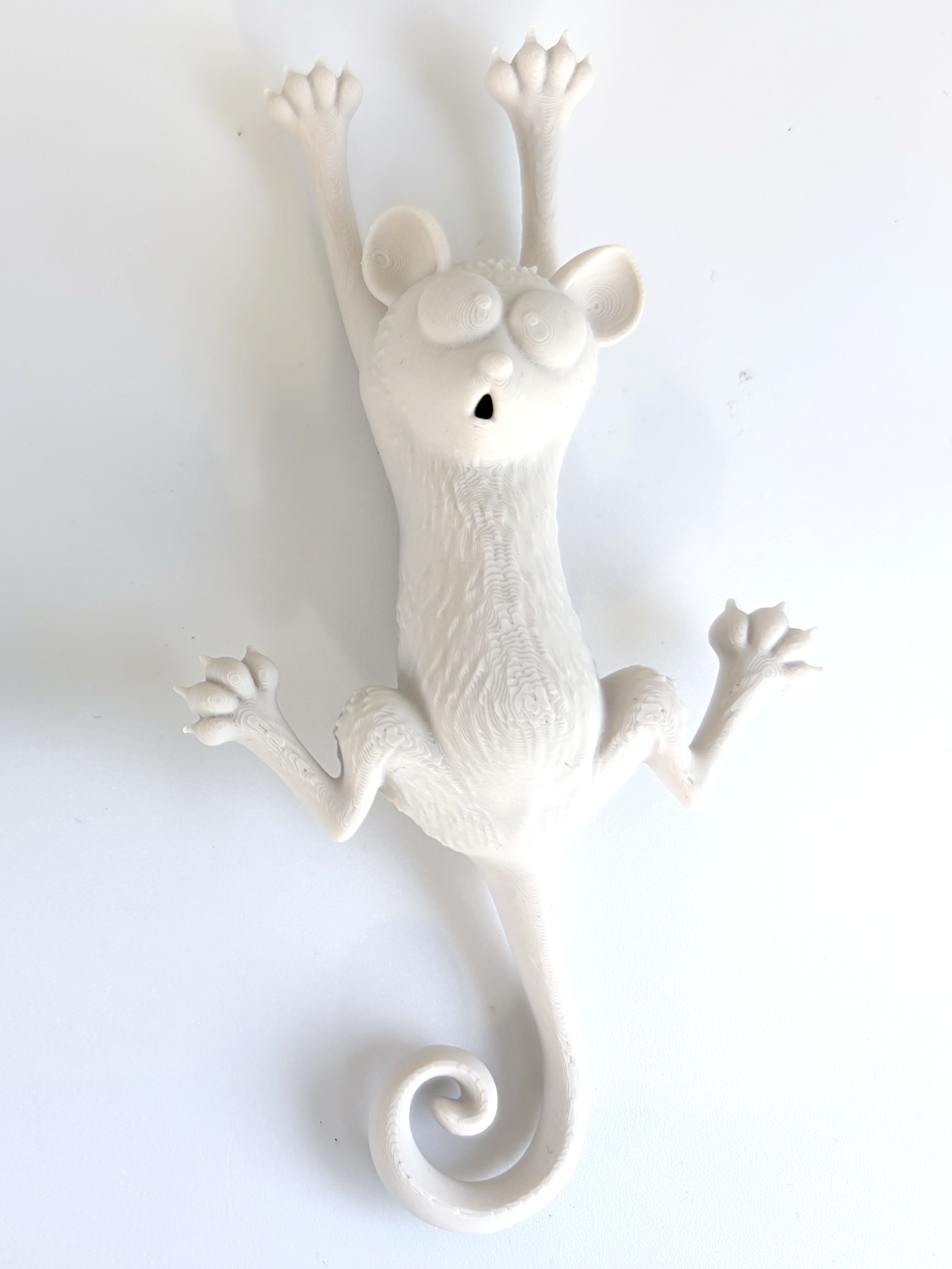 Miniatura 1 do modelo 3D Rat Problem Fridge Magnet