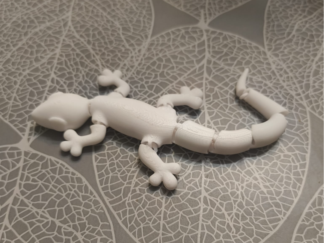 Flexy lizard