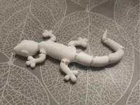Lézard articulé flexible — photo 1