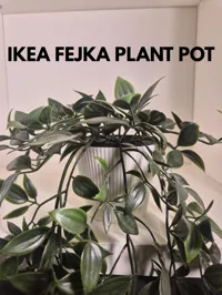 Cache-pot pour plante IKEA Fejka — photo 3