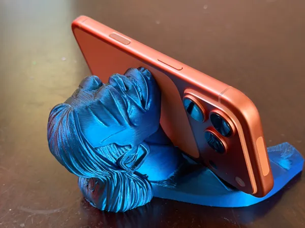 https://makerworld.bblmw.com/makerworld/model/USc41ec96dd71b0c/design/878e187690968580.jpeg
