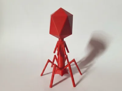Bacteriophage T4