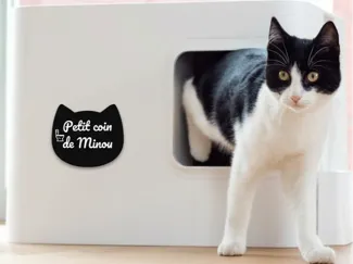 Petit coin de minou