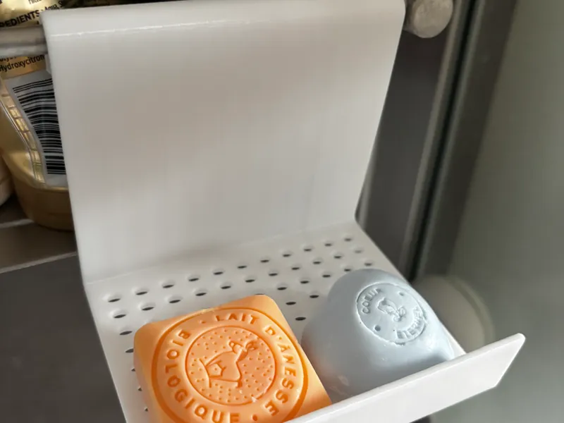 Porte Savon avec crochet