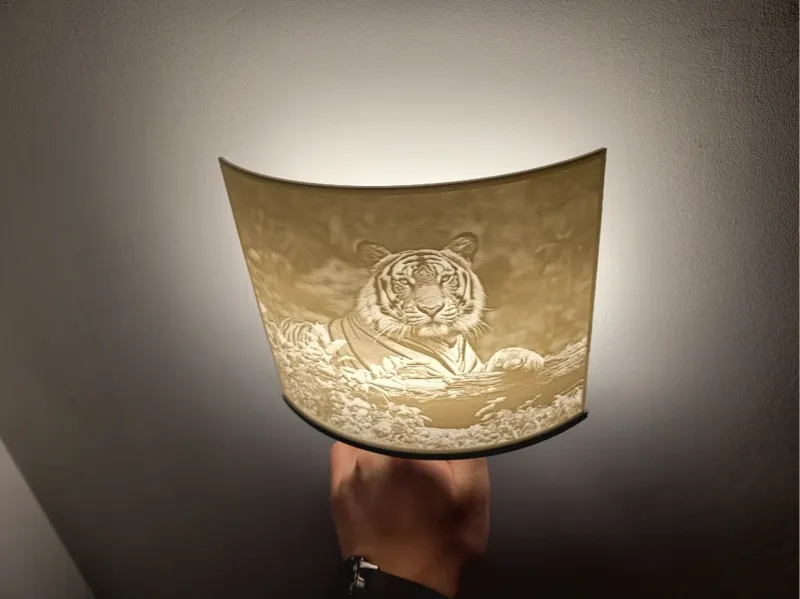 Lamp for wall ( kinkiet )