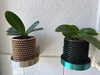 Wall Mounted Orchid Pot Max Airflow with Tray