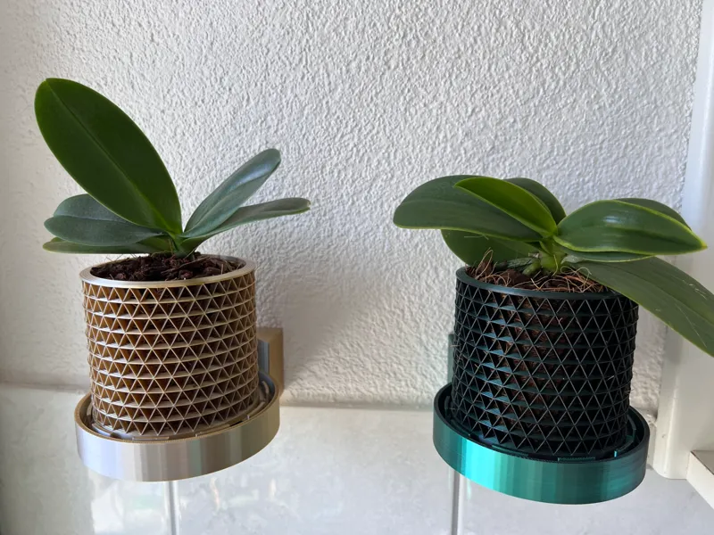 Wall Mounted Orchid Pot Max Airflow with Tray