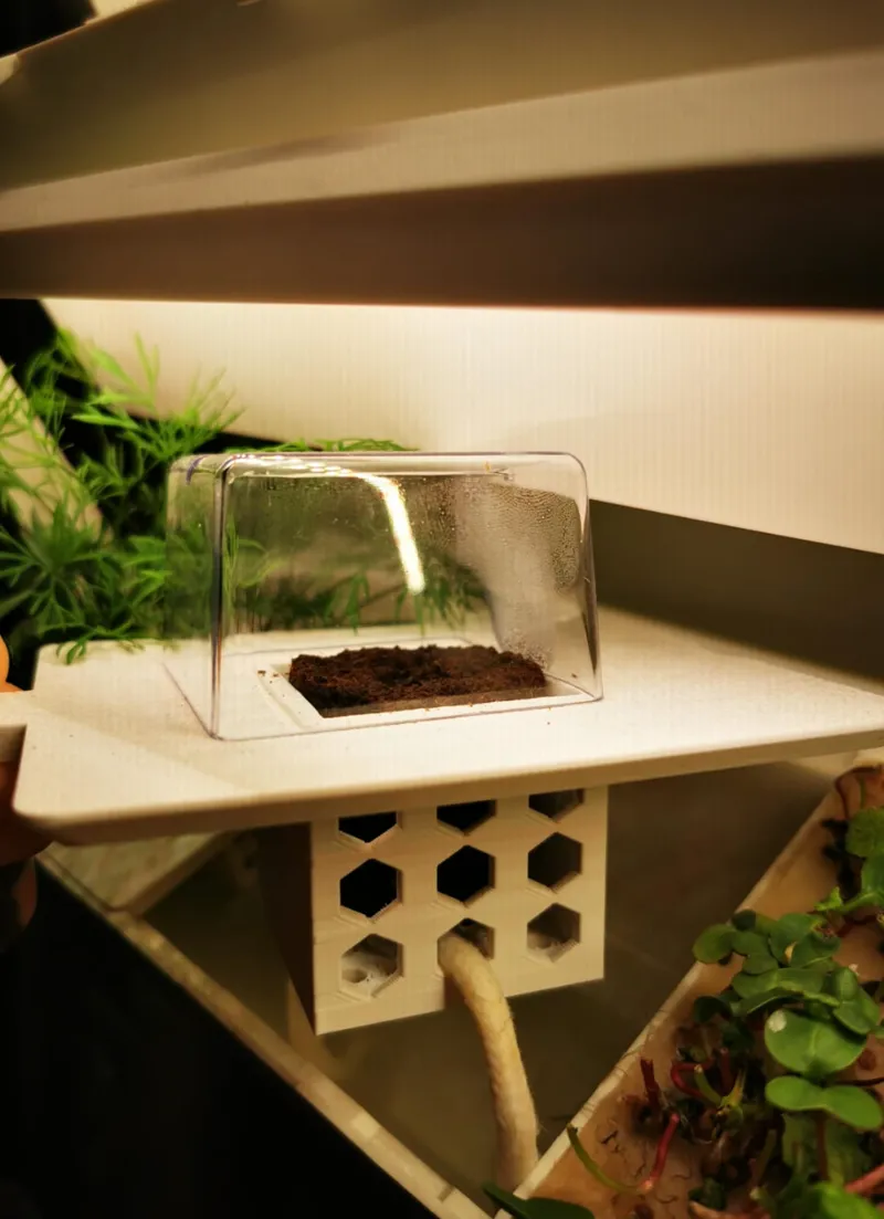 Urbanhive Tray for plants / Pflanzentopf