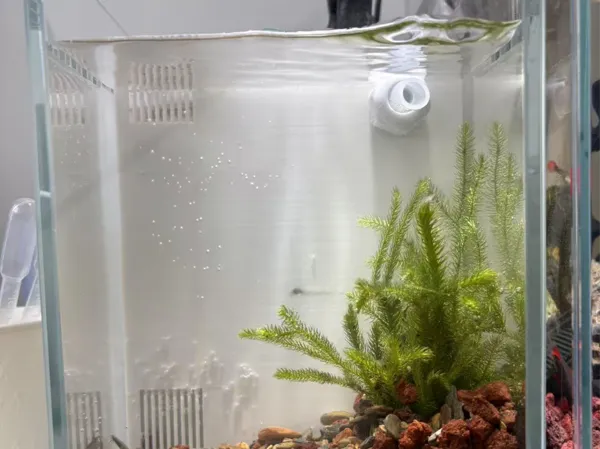 https://makerworld.bblmw.com/makerworld/model/USc434536036ce9e/design/2025-03-17_1241d14fda6c8.jpg