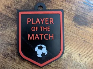 Player of the Match Medal