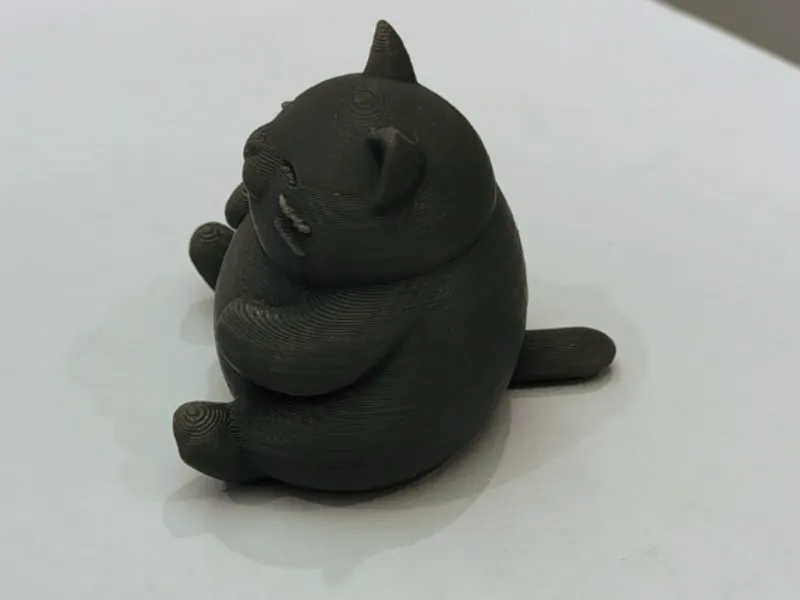 Gatto grasso con coda
