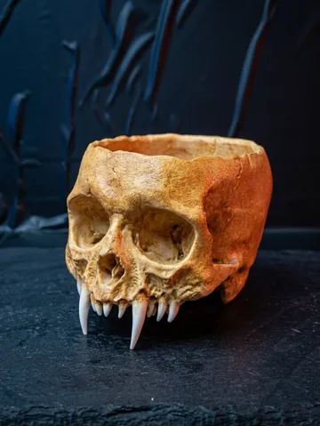 Maceta decorativa: Strigoi Skull Bowl / Planter — vista de referencia 2