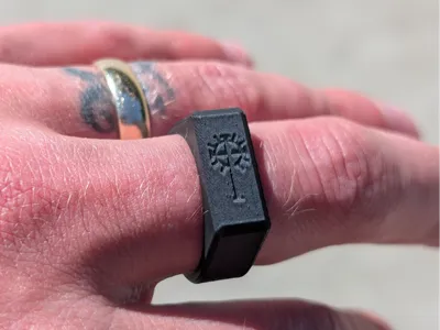 Dark Crusader Signet Ring
