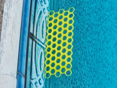 Bee Raft for pool