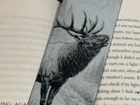 Elk bookmark 0.08mm layer, 1 walls, 100% infill