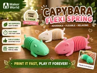 Capybara_FlexiSpring_0.2mm layer, 2 walls, 8% infill