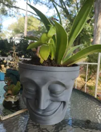 Pot à visage souriant — photo 2