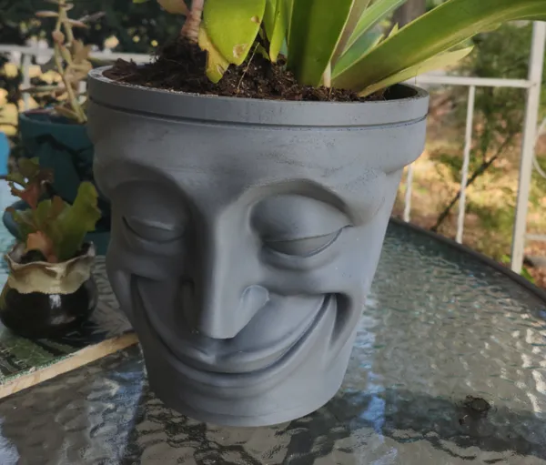 Pot à visage souriant